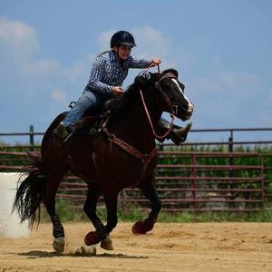 Meet your Posher, Allie